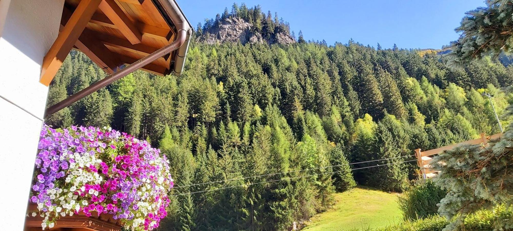 Haus Gfall Kaunertal Extérieur photo